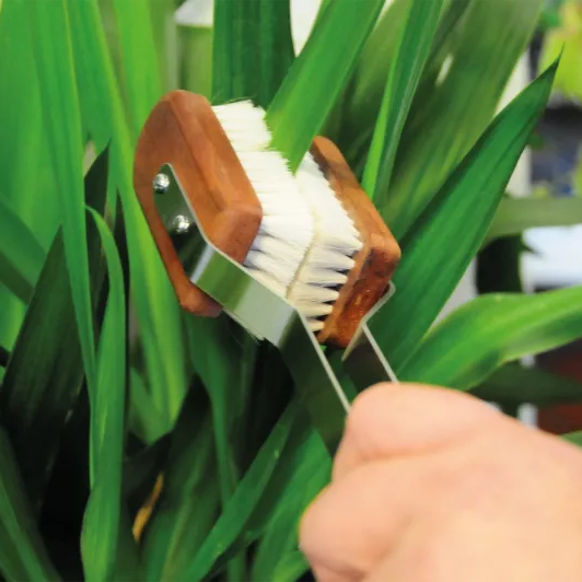 Støvkost/børste til planter 35cm