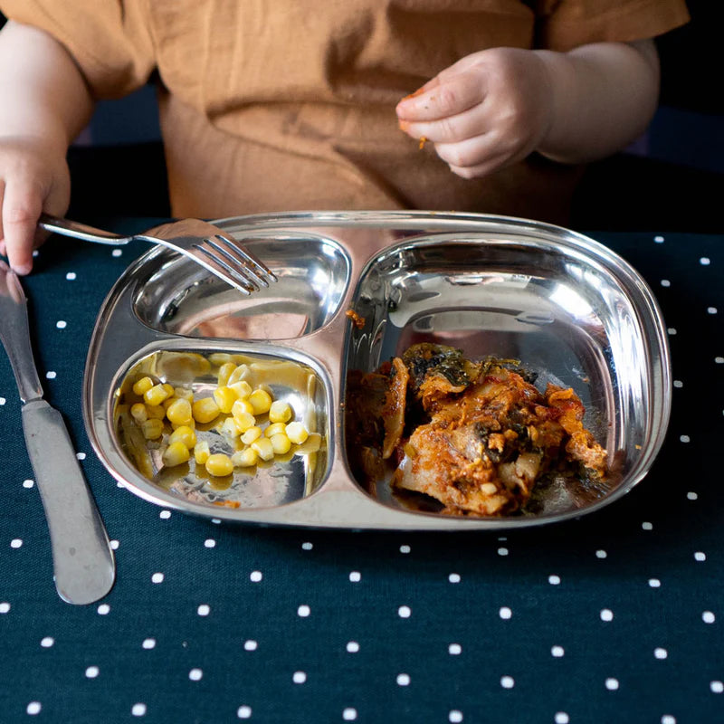 SteelLunchTray, large