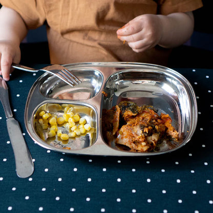 SteelLunchTray, large