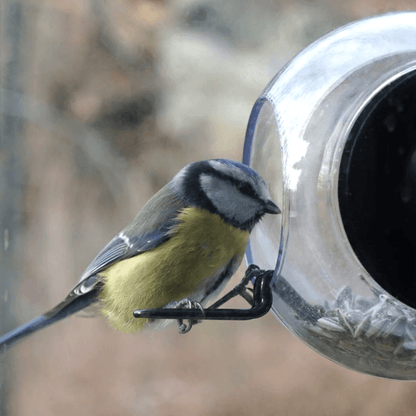 Bird Feeder | Foderkugle - H. Skjalm P.
