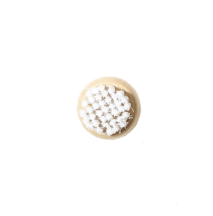Champignonbørste